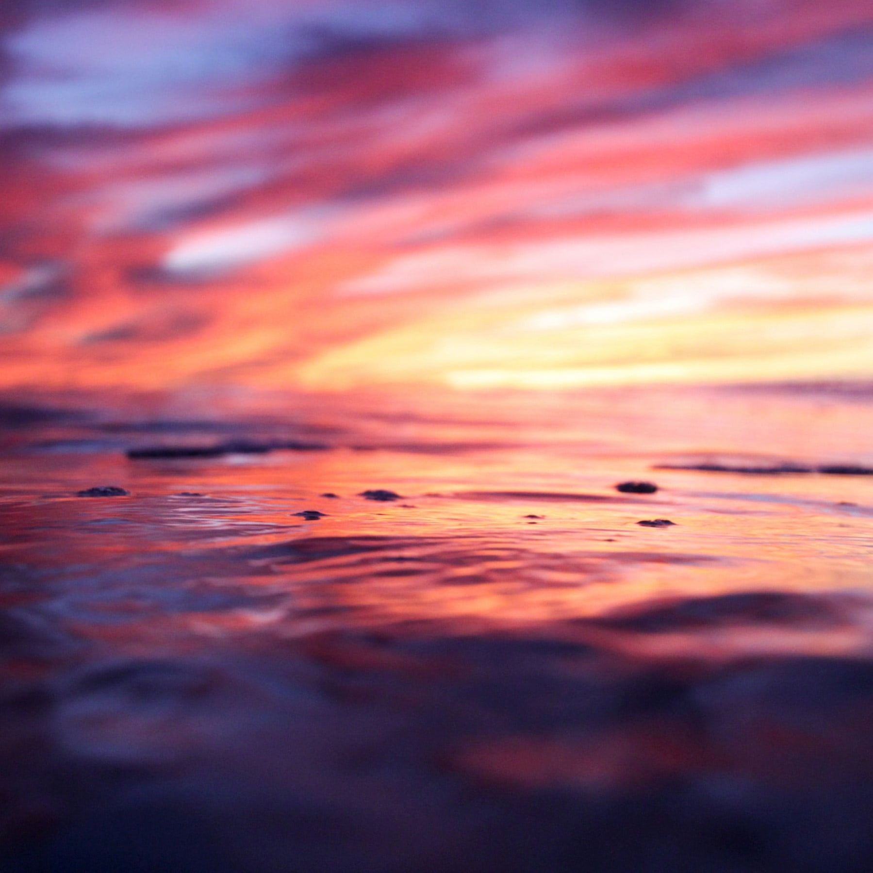 austin-schmid-jNR_iCjgRLU-unsplash