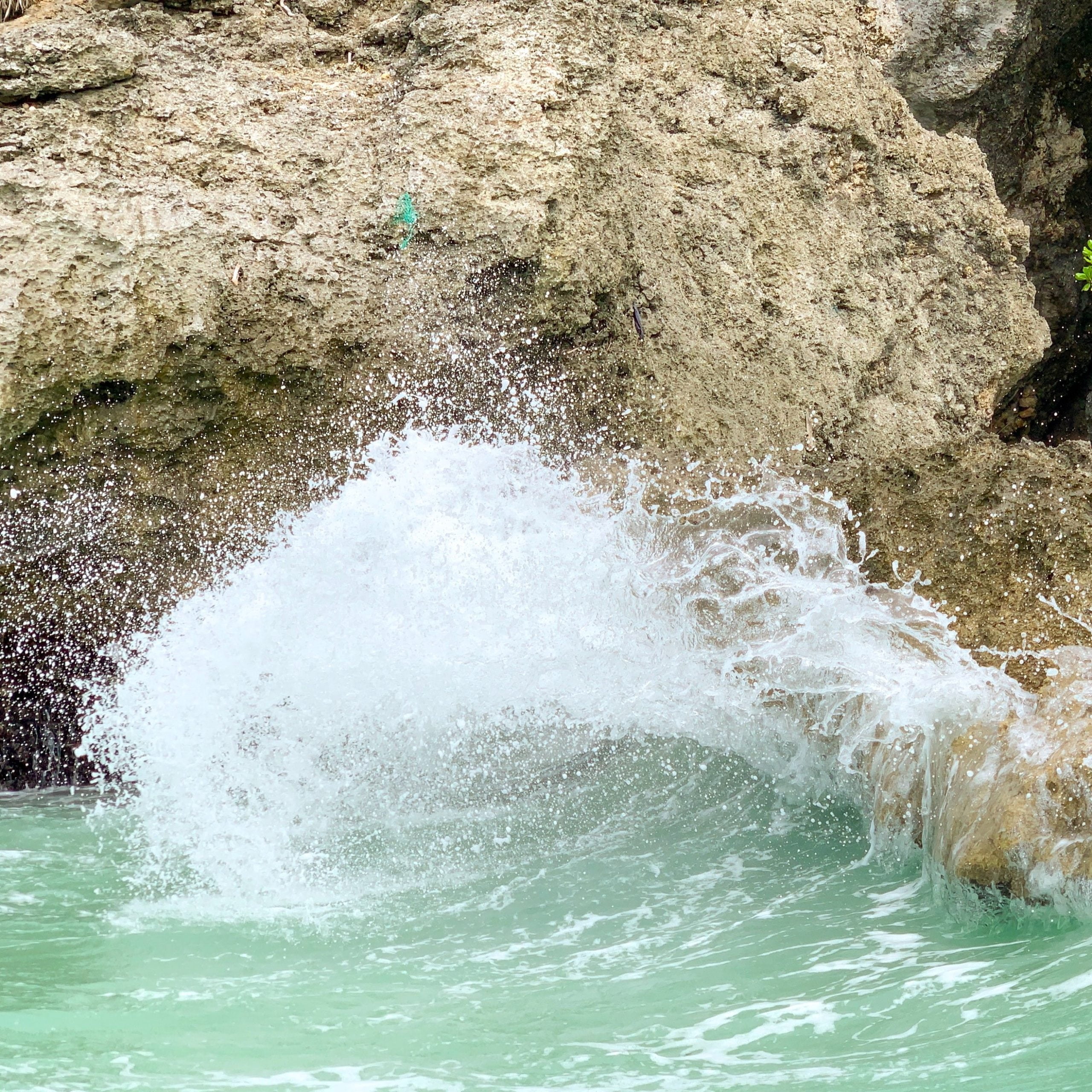 car-sogono-d-45d1V2Y2w-unsplash