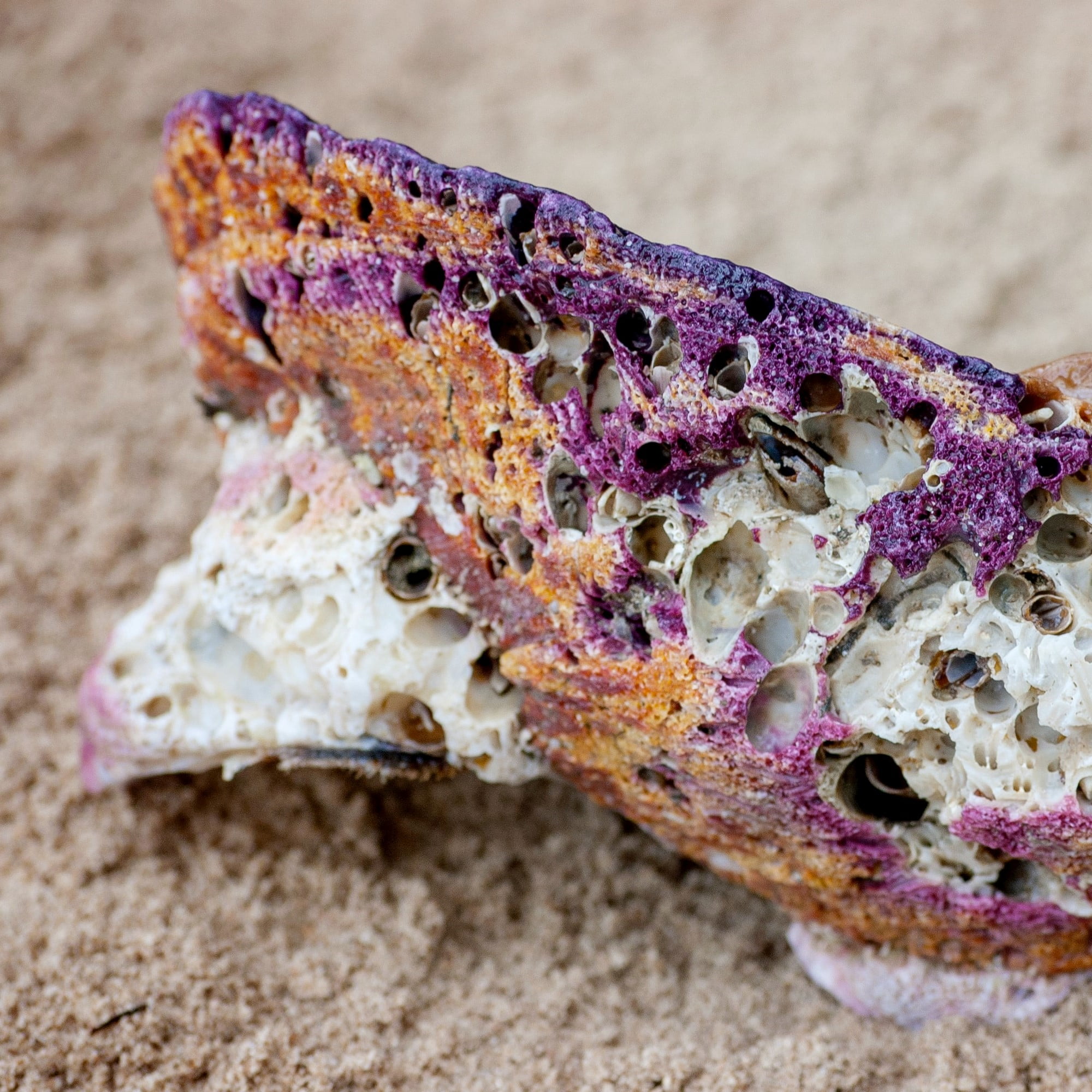 ovidiu-creanga-HHJ04Z6CZvs-unsplash