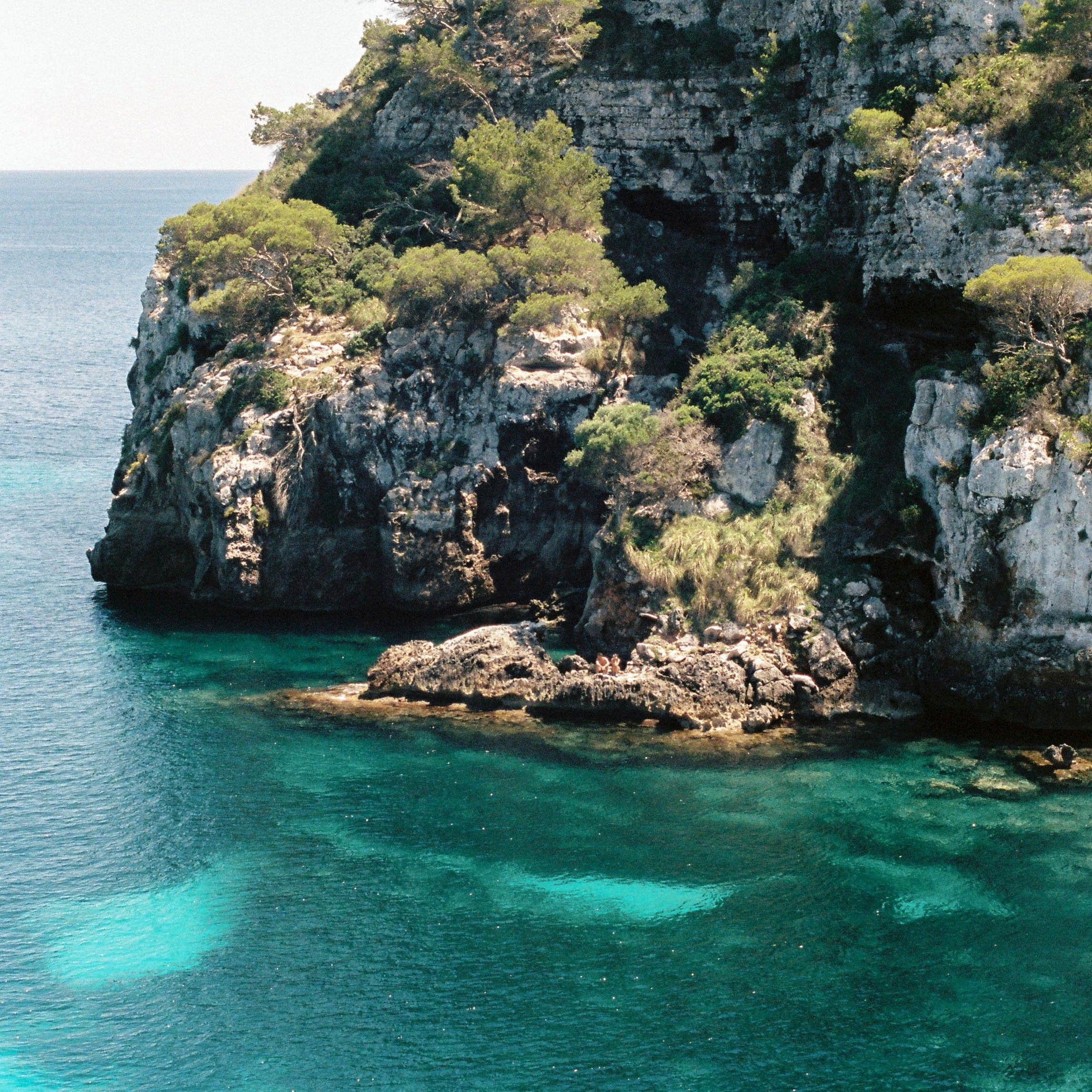 pelayo-arbues-P7OWf5djI8M-unsplash