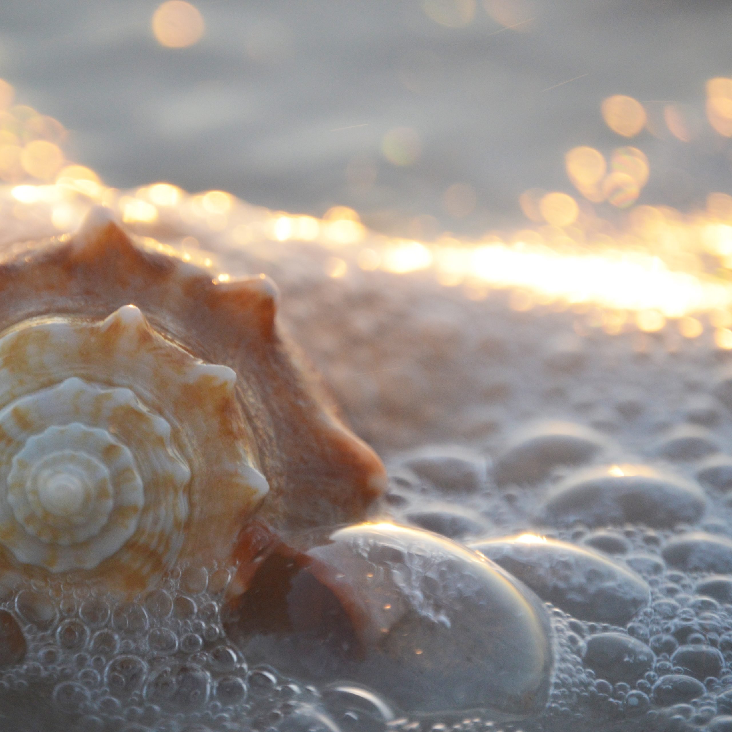 sarah-granger-XVNOksPt-Ks-unsplash